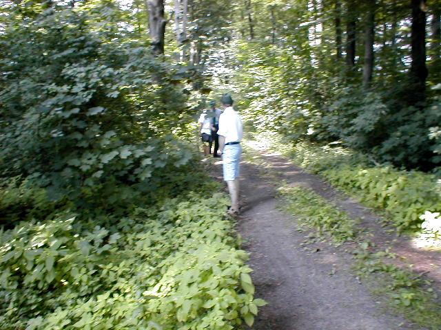 P6160090.JPG