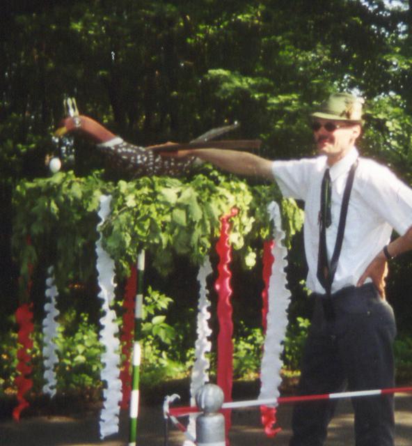 Vogelstange-07.JPG