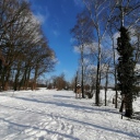 IMG_20210212_131801