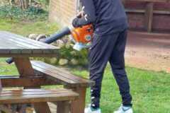 Vogelstange herrichten